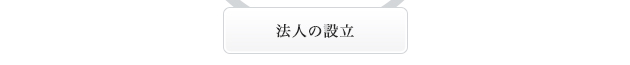 法人の税務会計-税務調査の立会い